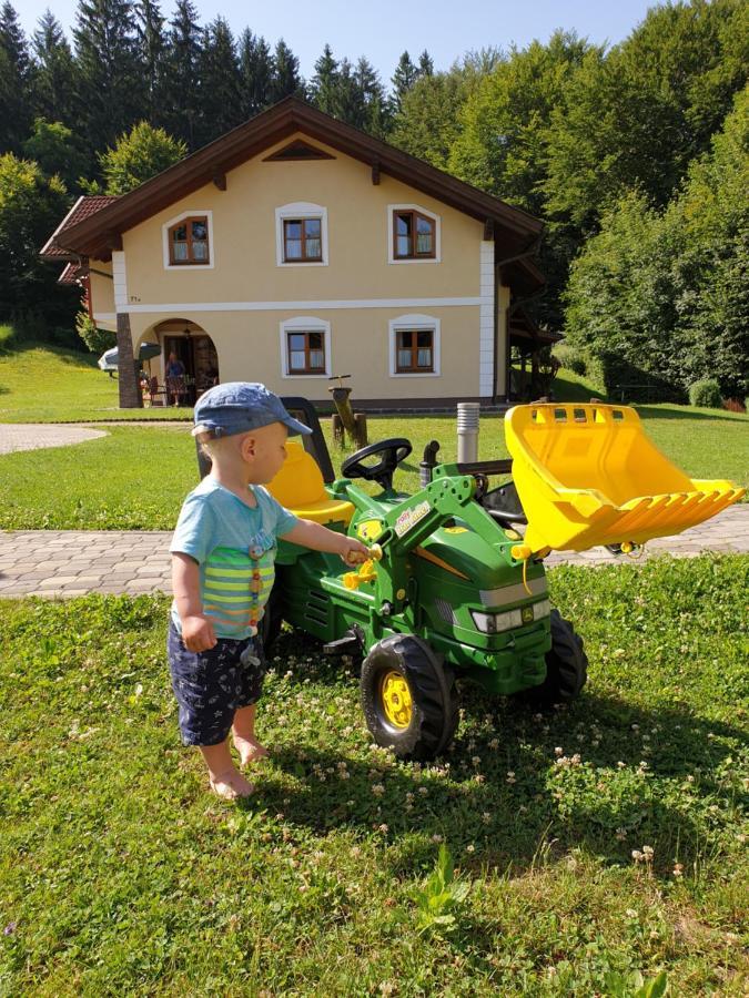 Ferienparadies Truppe Velden am Wörthersee Eksteriør billede